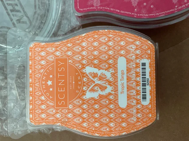 St Louis Blues Scentsy Warmer image indicator(3)