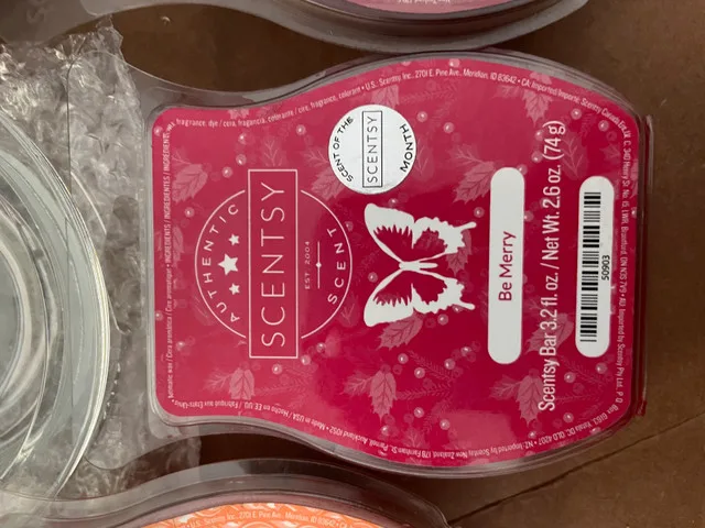 St Louis Blues Scentsy Warmer image indicator(4)