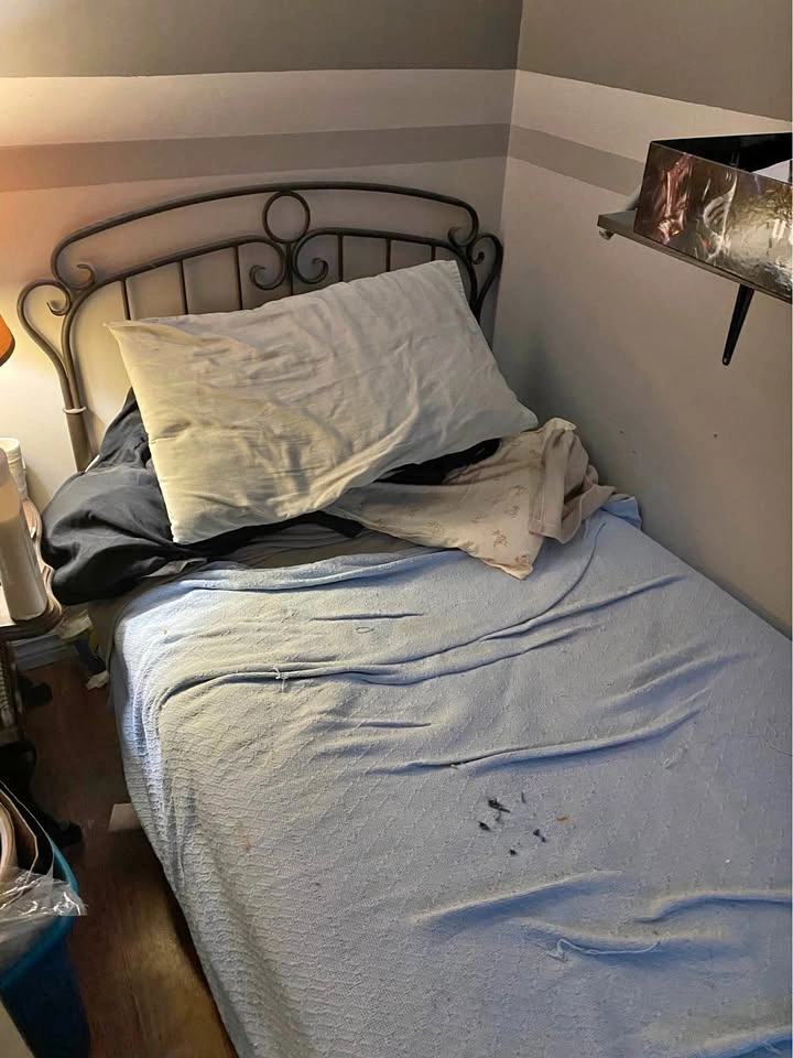 Twin bed frame, box spring and mattress
