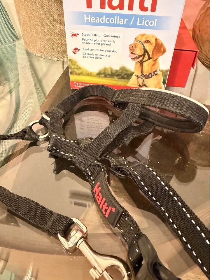 Halti Dog Headcollar – Size 3, Black - photo 2