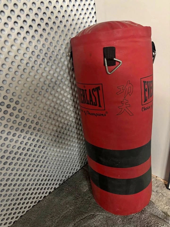 Everlast Heavy Punching Bag