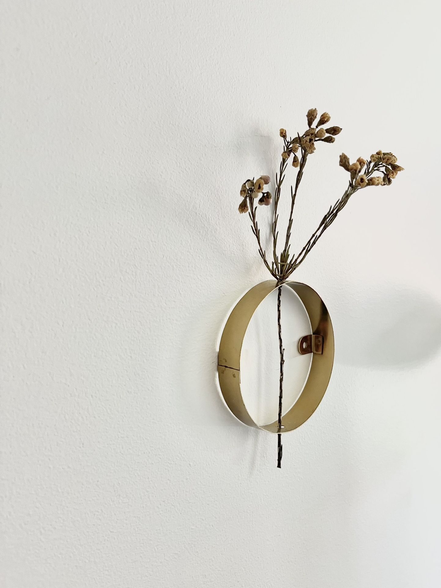 Gold Colored Metal Wall Rings Decor - photo 3