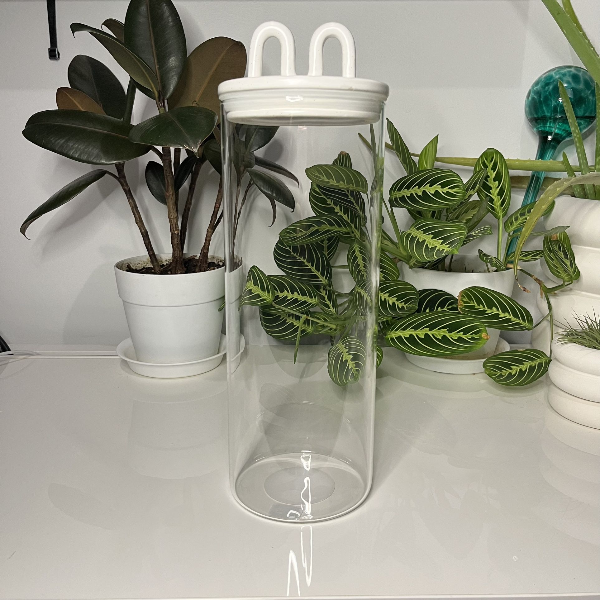 Glass Canister With Ceramic Lid - photo 2