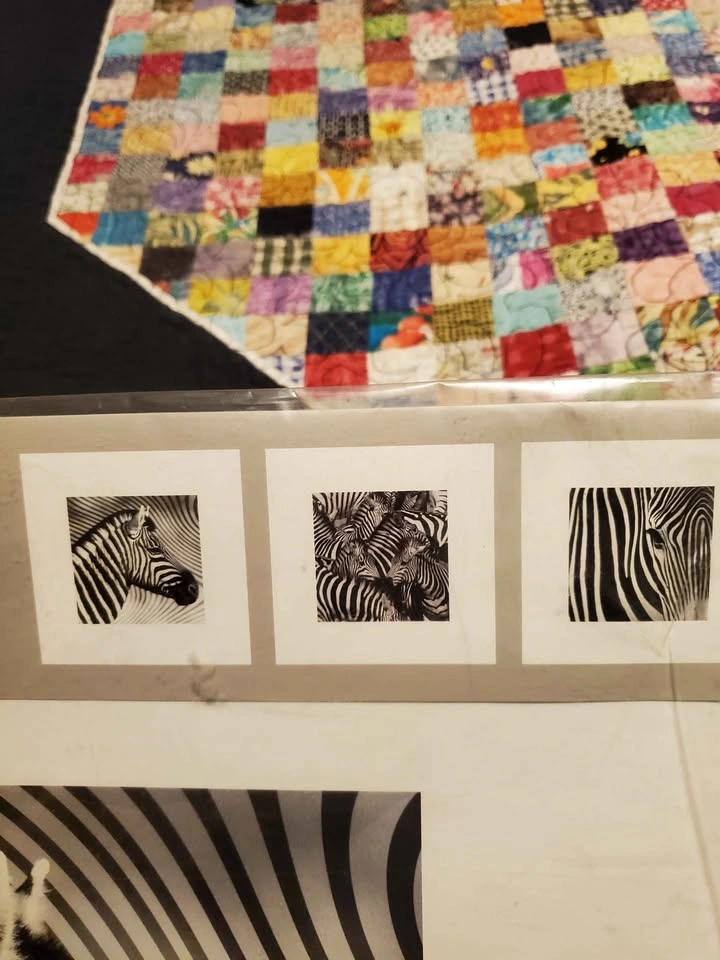 IKEA TRILLING Zebra Art Prints Set of 3 - photo 2