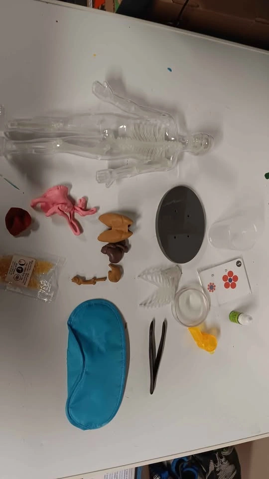Buki France Human Body Science Kit - photo 3