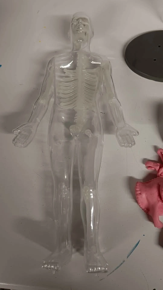 Buki France Human Body Science Kit - photo 4