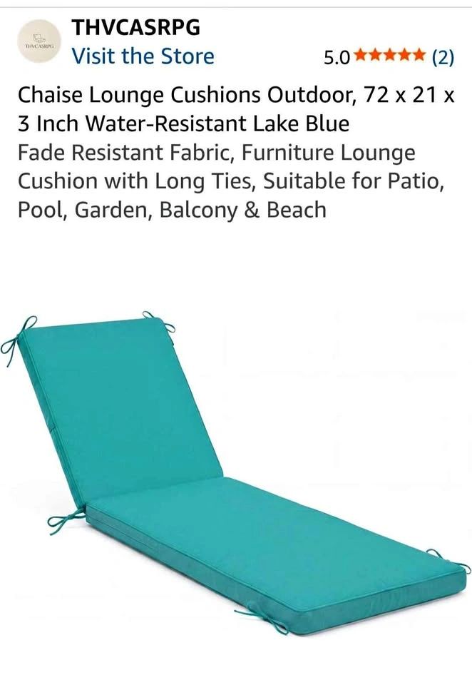 New Chaise Lounge Cushions