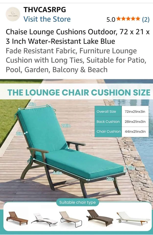 New Chaise Lounge Cushions - photo 2
