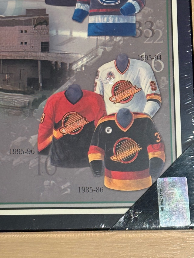 Vancouver Canucks Jersey History Framed Print - photo 4