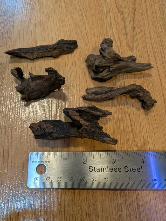 5 PC Mopani Driftwood