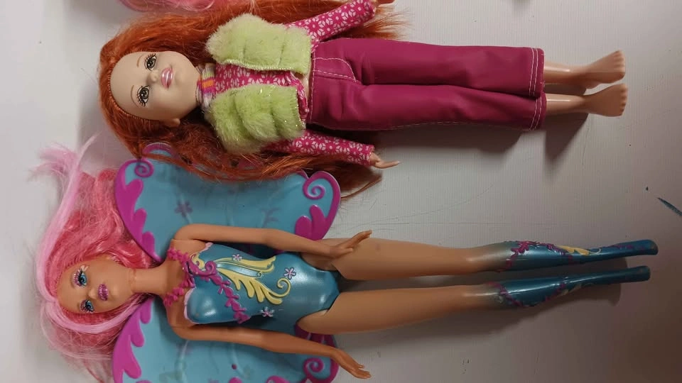 Barbie and My Little Pony Equestria Girls Doll Lot - photo 2