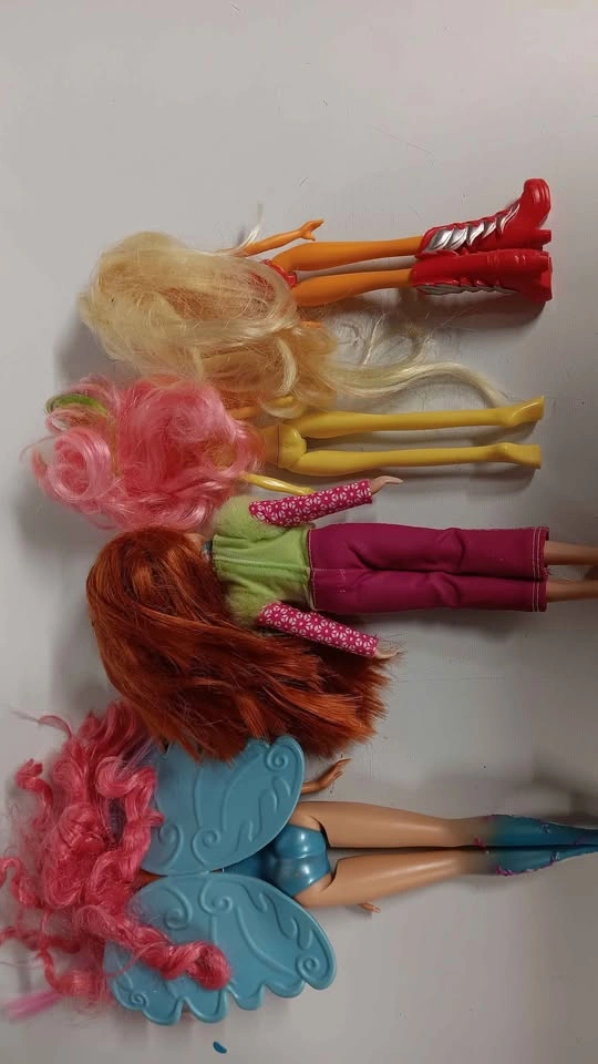 Barbie and My Little Pony Equestria Girls Doll Lot - photo 4