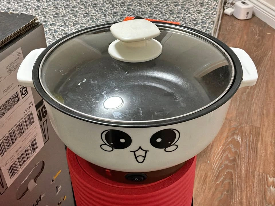 Mini Electric Cooker/Hot Pot – Panda Design, Works Great