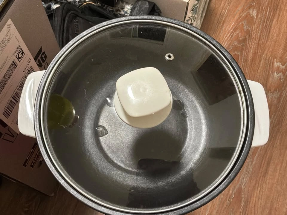 Mini Electric Cooker/Hot Pot – Panda Design, Works Great - photo 2