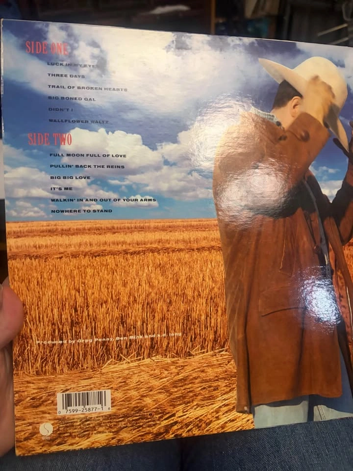 k.d. lang and the reclines Absolute Torch and Twang Vinyl LP - photo 2