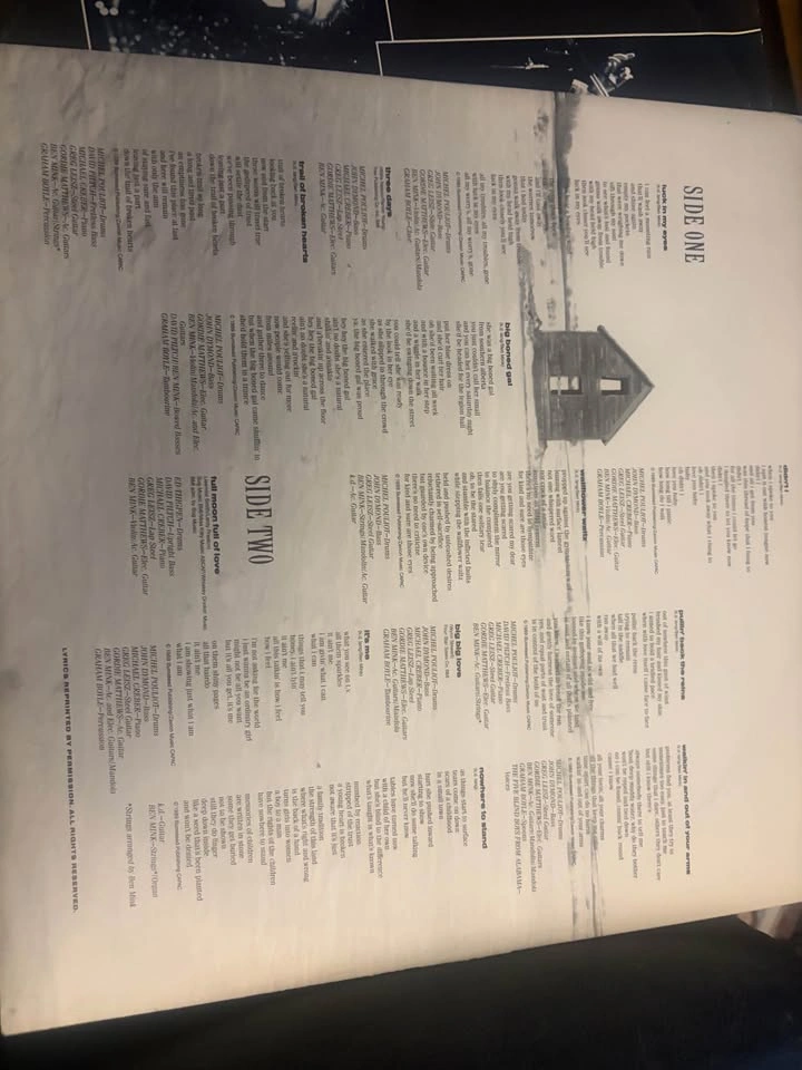k.d. lang and the reclines Absolute Torch and Twang Vinyl LP - photo 3
