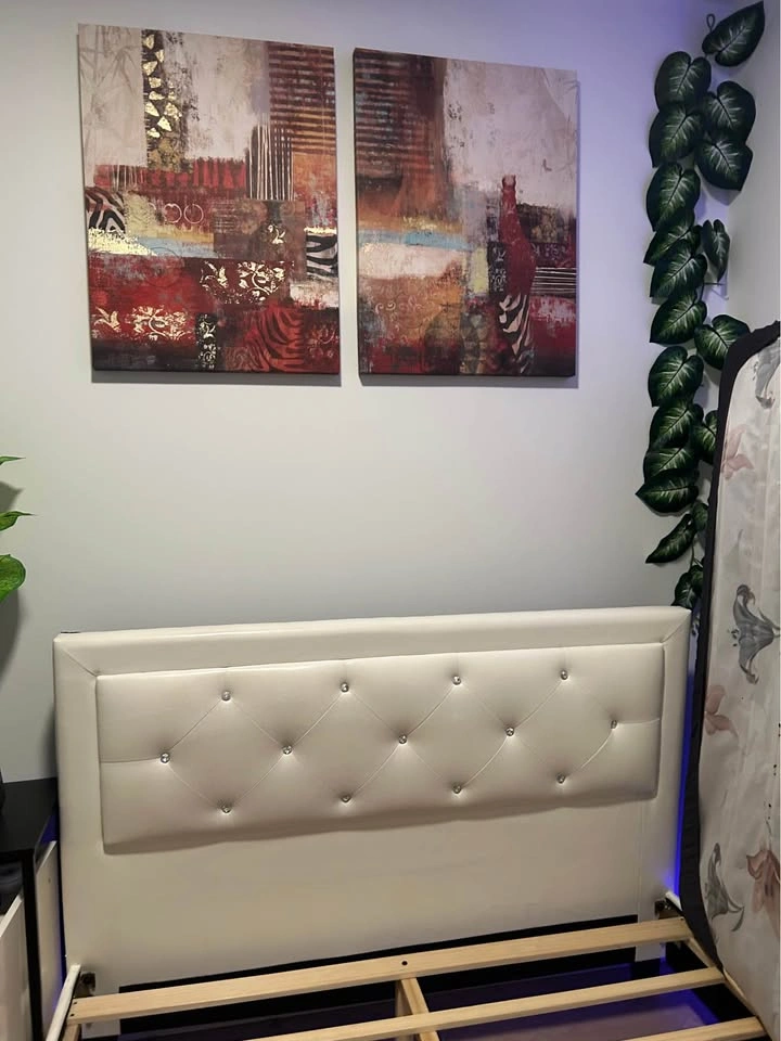 (NEEDED GONE ASAP) Queen Bed Frame and Mattress - Move Out Sale - photo 3