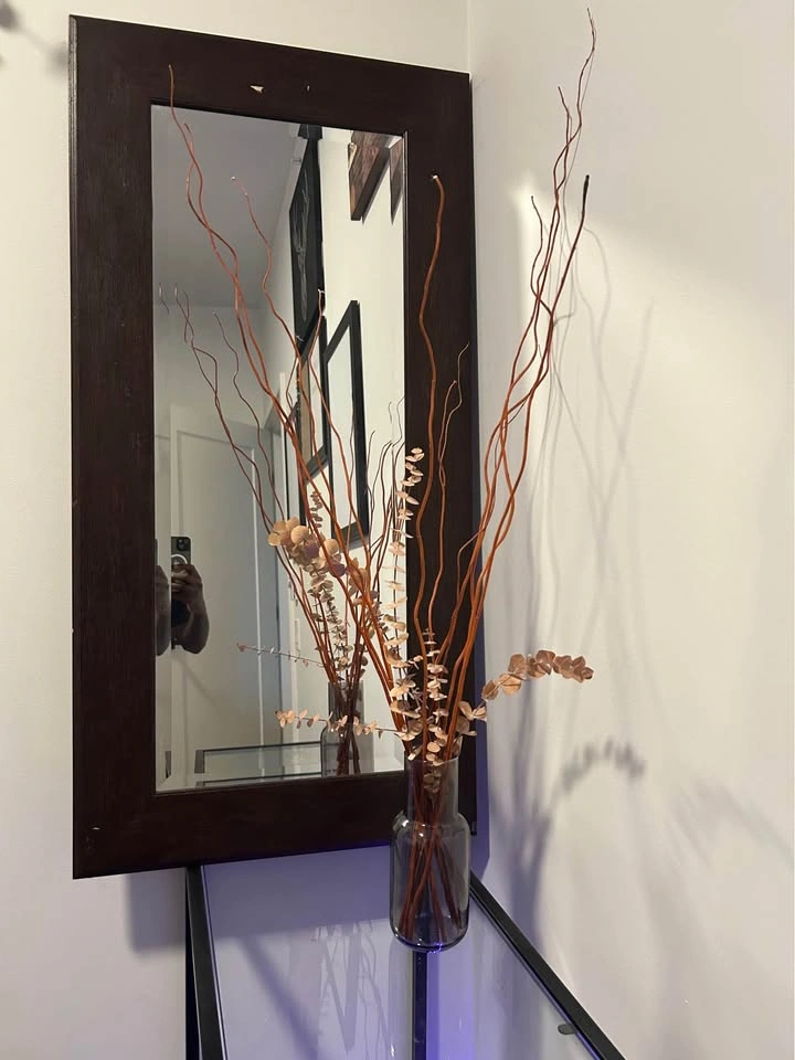 Tall beautiful plastic house plants - Move Out Sale - photo 2