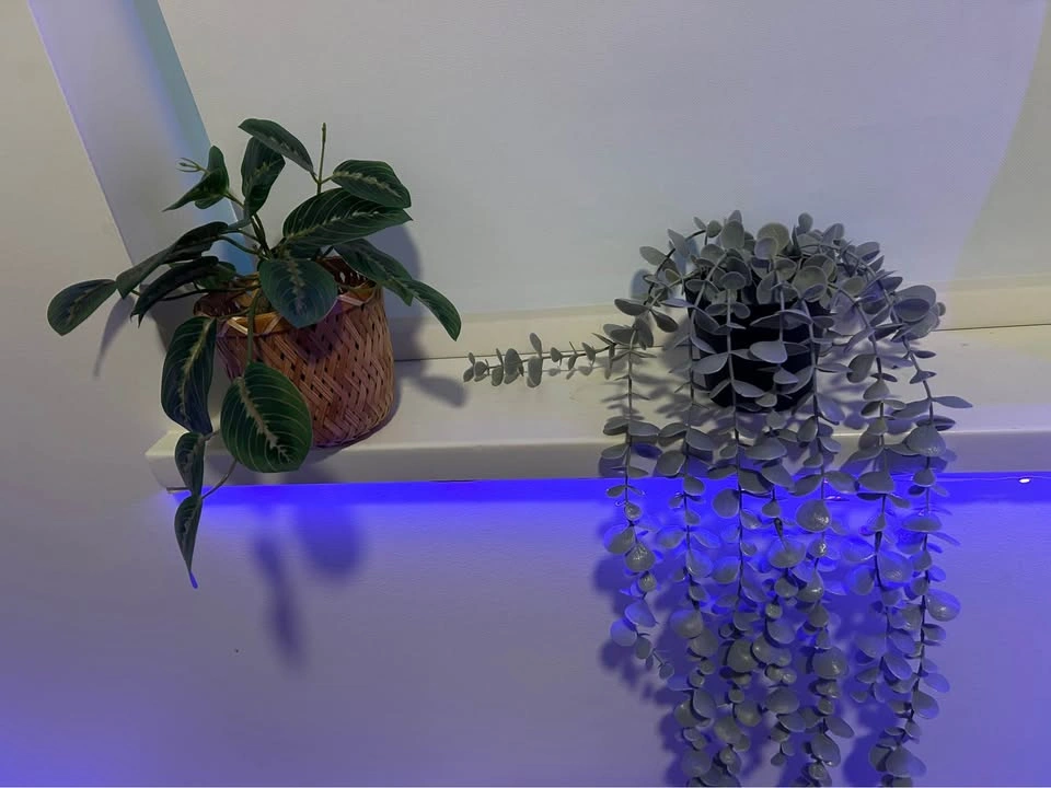 Tall beautiful plastic house plants - Move Out Sale - photo 3