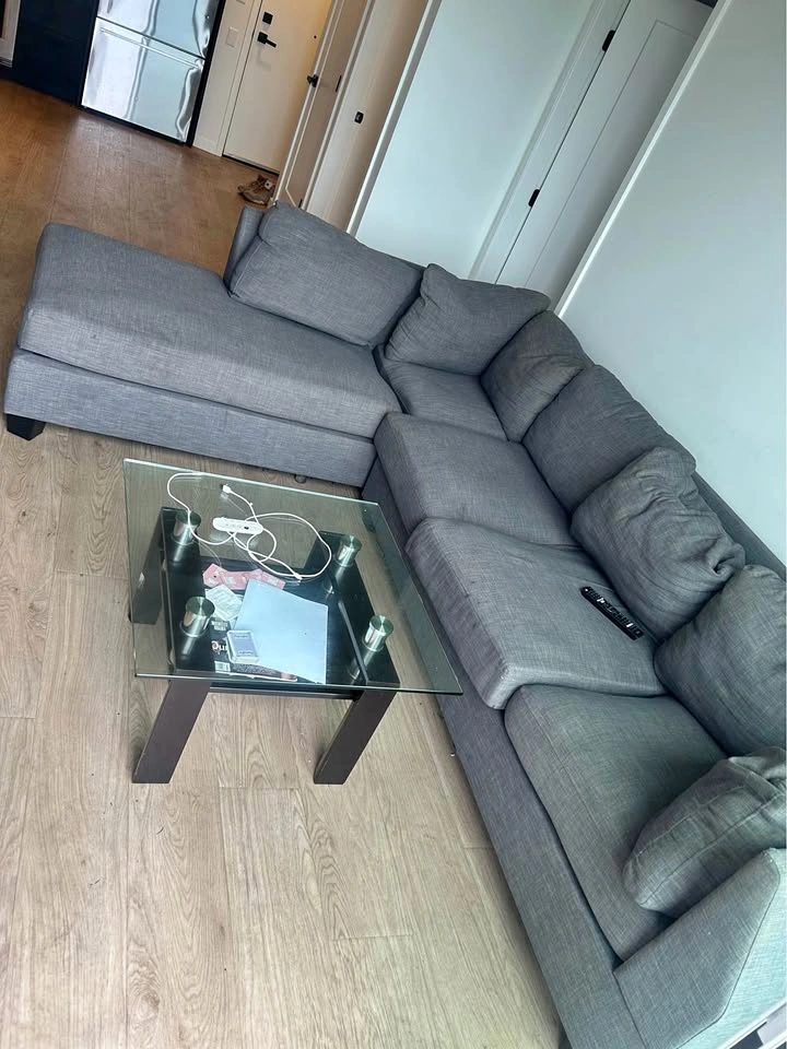L-Shaped Sectional Couches - Move Out Sale