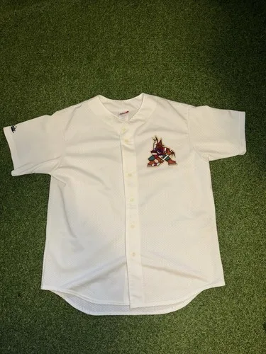 Vintage Arizona Coyotes Baseball Jersey Size L NHL