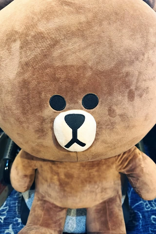 LINE Friends Brown Plush 80cm(31.5")