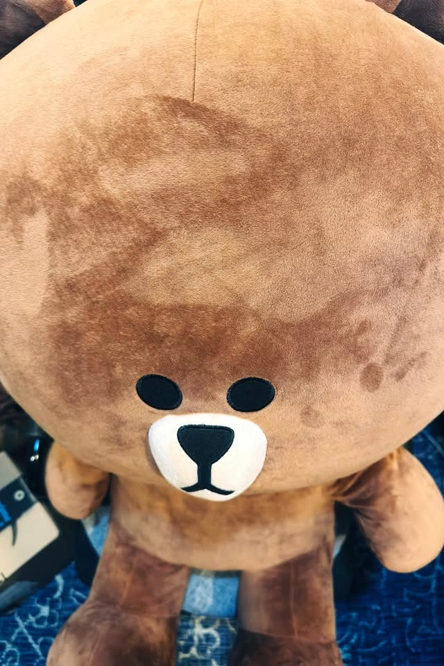 LINE Friends Brown Plush 80cm(31.5") - photo 2