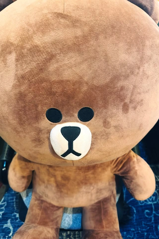 LINE Friends Brown Plush 80cm(31.5") - photo 4