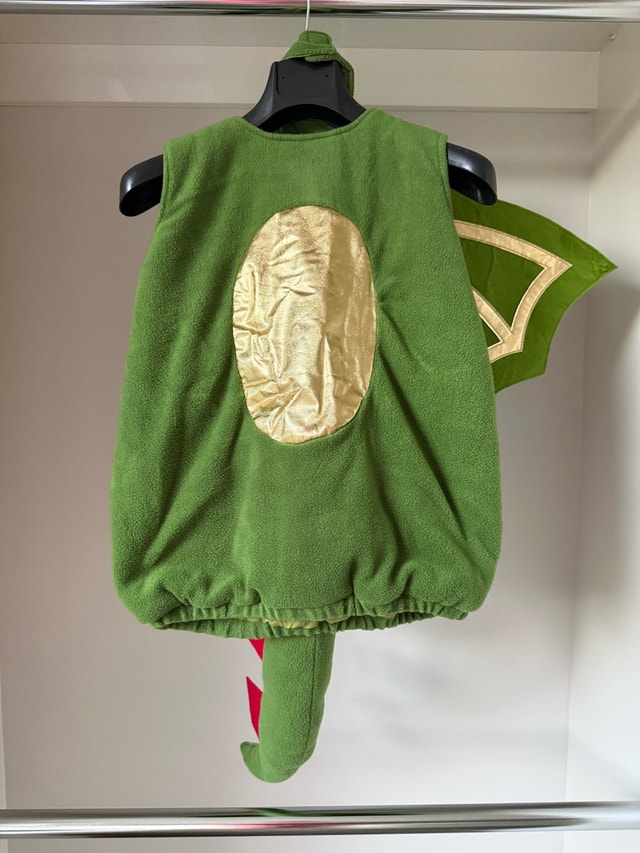 Pottery Barn Kids Dragon Costume