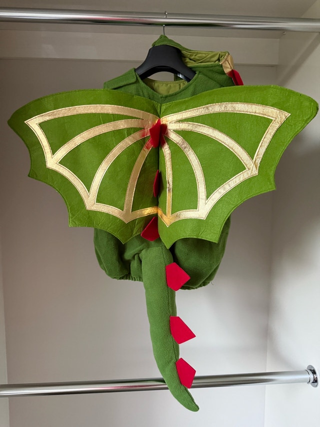 Pottery Barn Kids Dragon Costume - photo 2