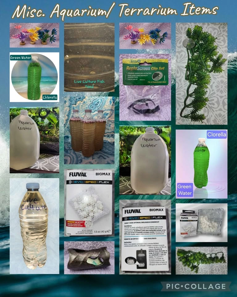 Aquarium Tank, Pond Plants & Other Items - photo 4