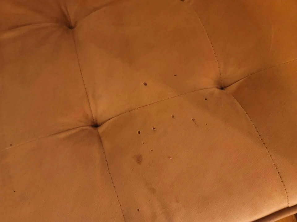 Couch for sale - photo 4