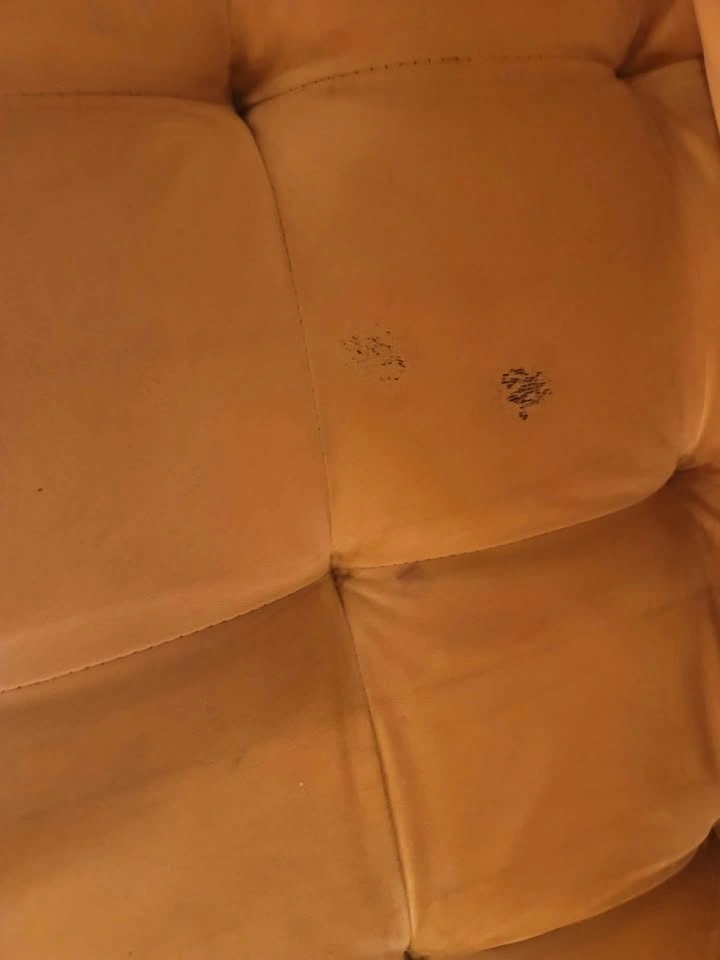 Couch for sale - photo 5
