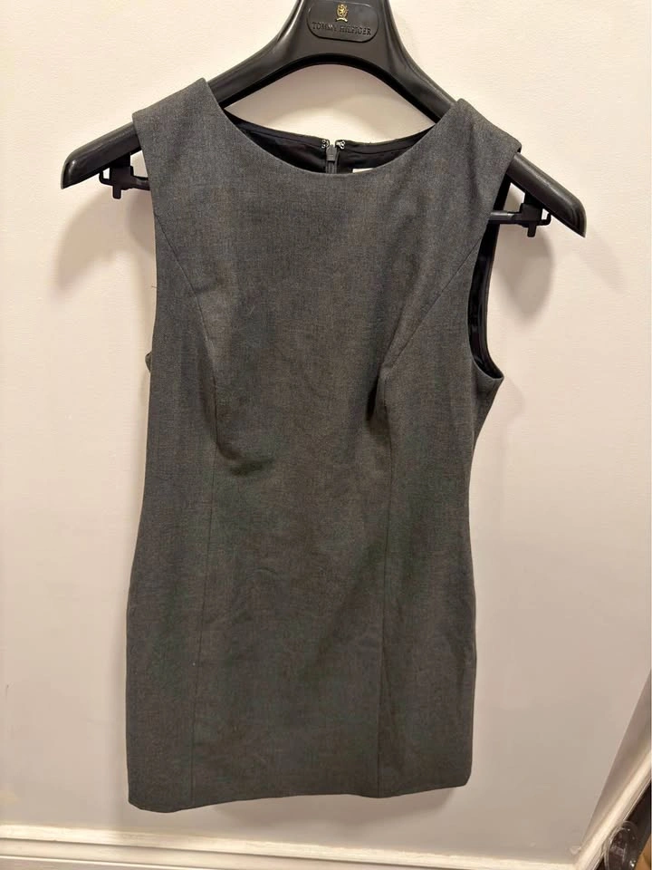 Aritzia Fiona Dress Size 4