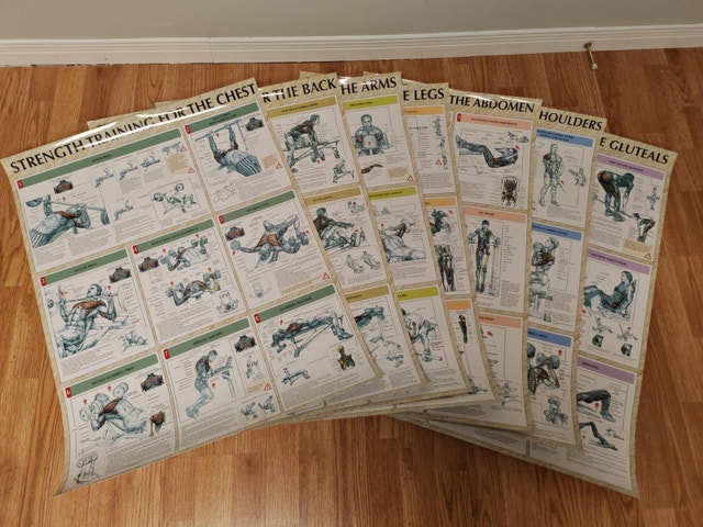 Set of 7 Large Workout Exercise Posters - 32 x 23 Inches
