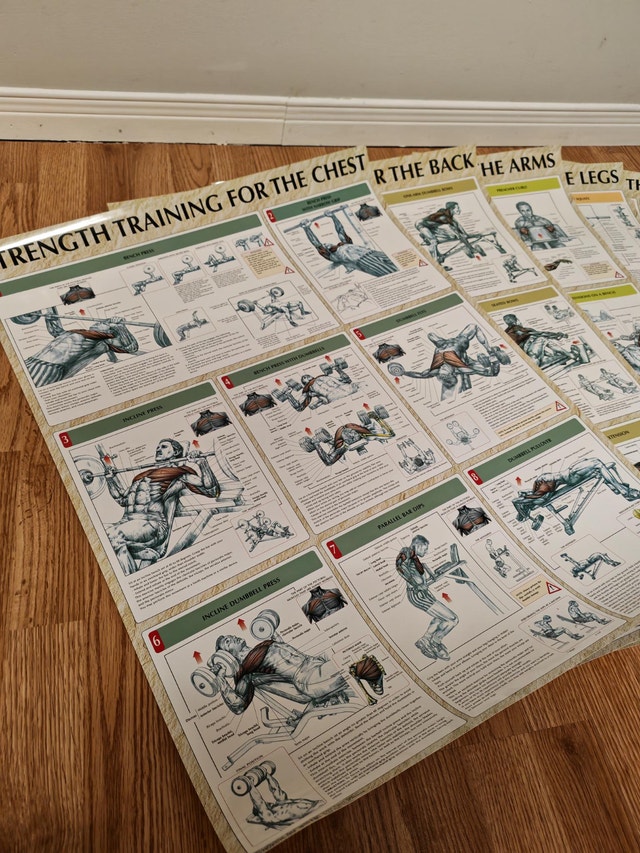 Set of 7 Large Workout Exercise Posters - 32 x 23 Inches - photo 2