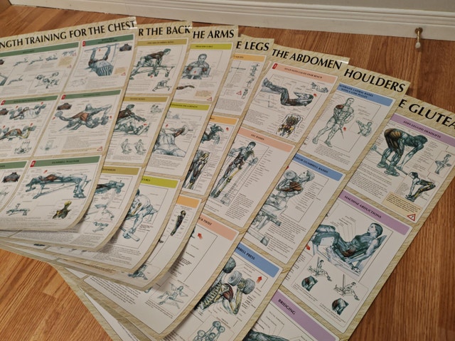 Set of 7 Large Workout Exercise Posters - 32 x 23 Inches - photo 3