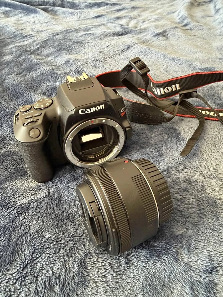 Canon EOS Rebel SL3 DSLR + EF-S 18-55mm IS STM Lens - Black