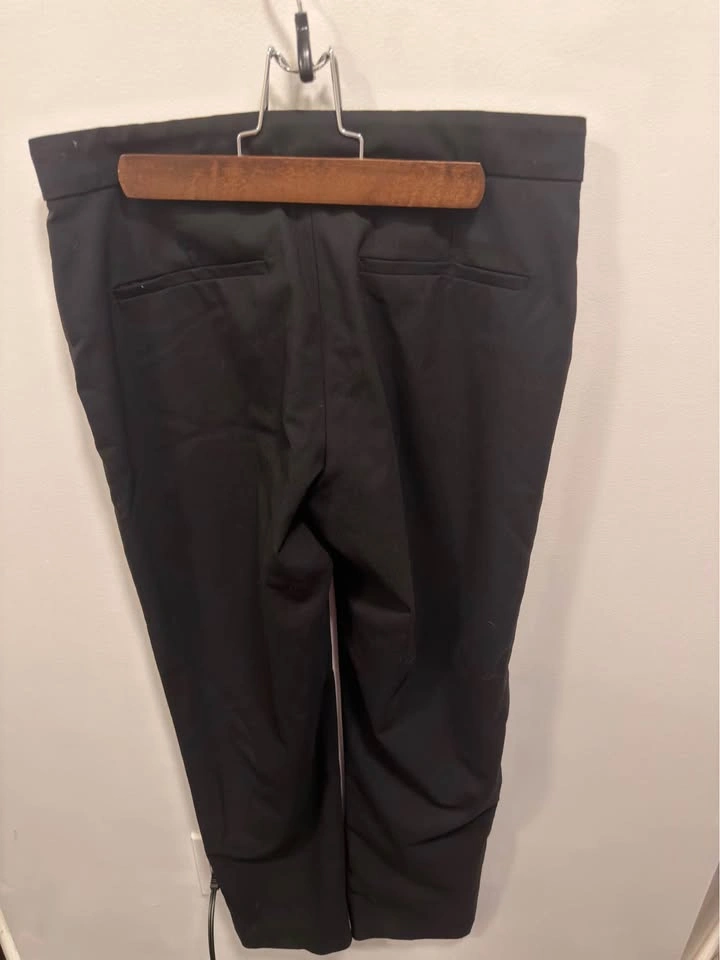 Babaton dress pants size 4 - photo 2