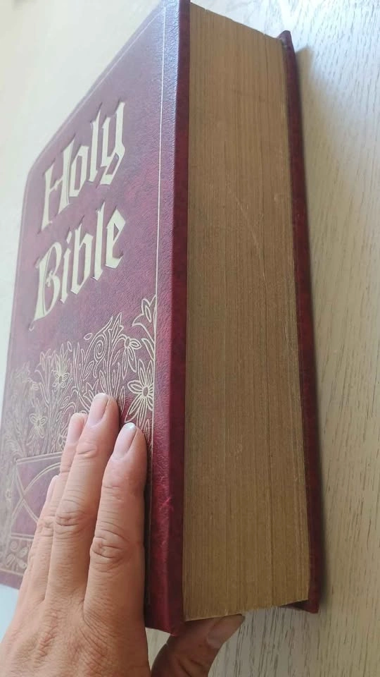 Riverside Master Family Edition Holy Bible - photo 2
