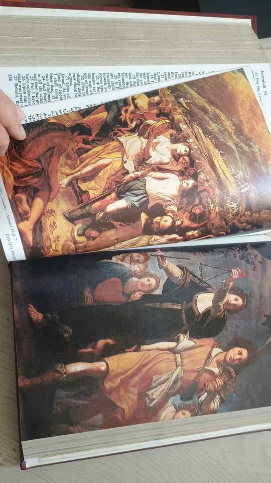 Riverside Master Family Edition Holy Bible - photo 3