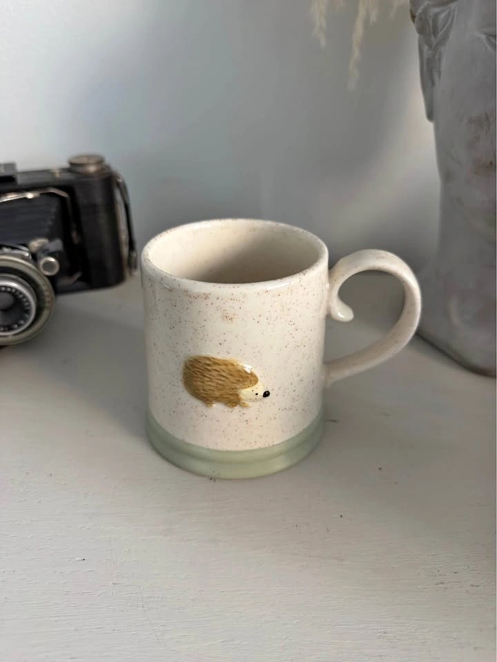 Hedgehog mug NWOT