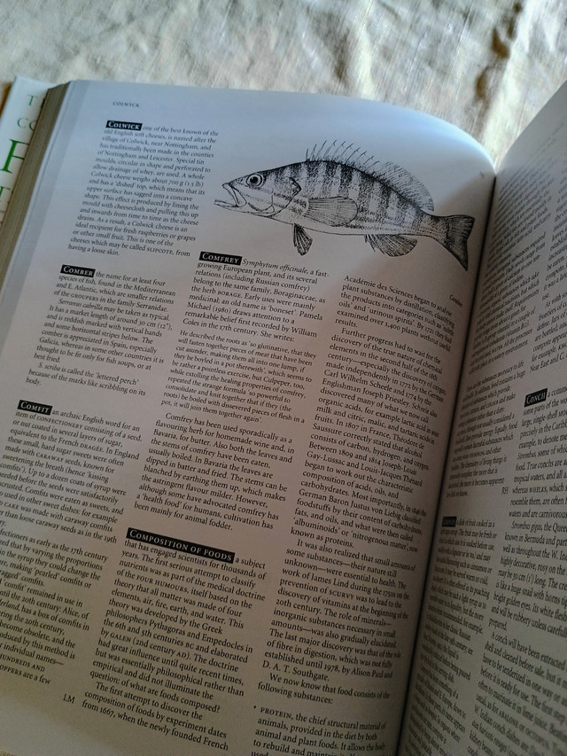 The Oxford Companion to Food - photo 5