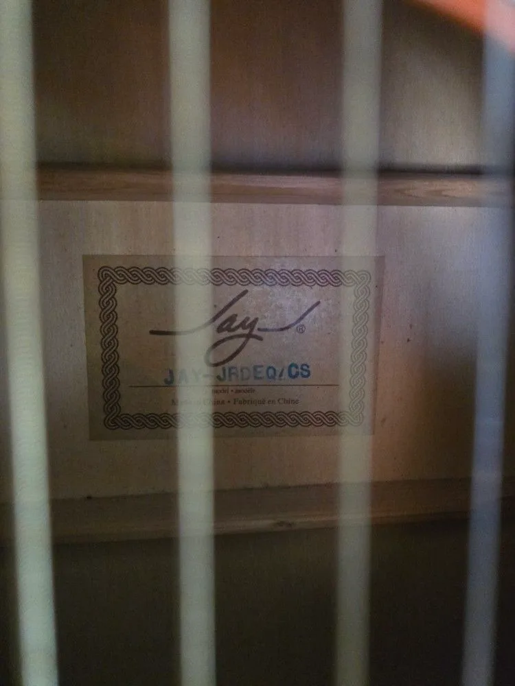 Jay Turser Acoustic-Electric Guitar - Sell/Trade image indicator(4)