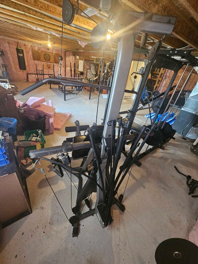 Bowflex Xtreme (with attachments) - photo 3
