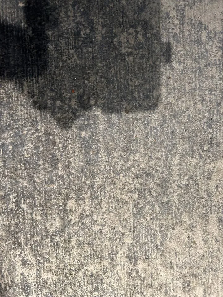 Area rug (blue and beige) image indicator(2)