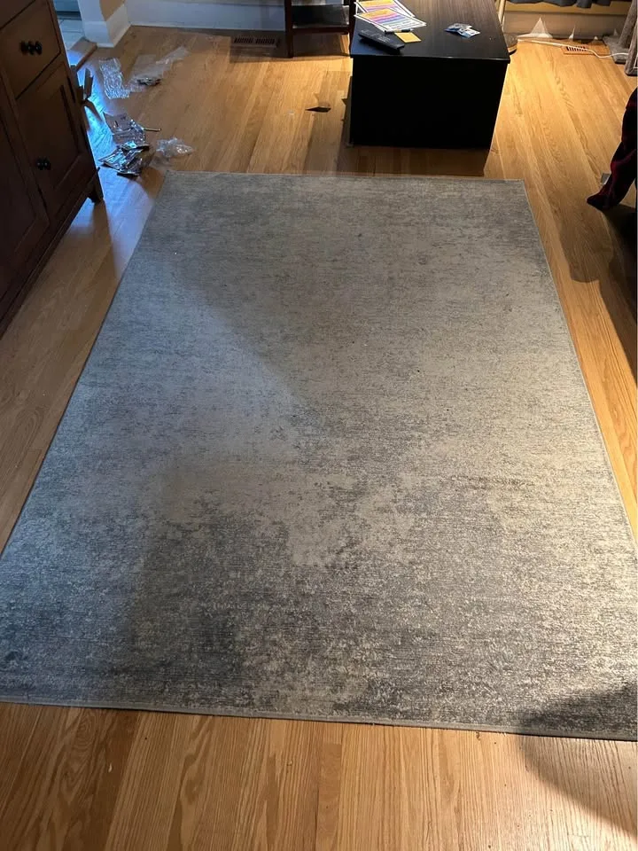 Area rug (blue and beige) image indicator(3)