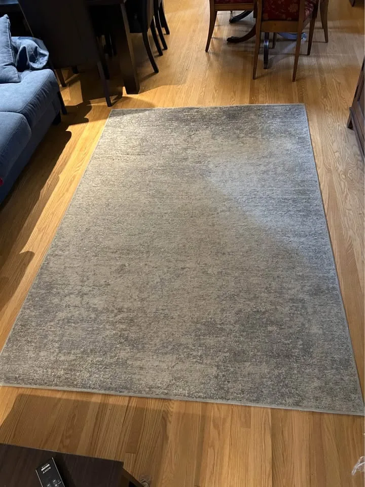 Area rug (blue and beige) image indicator(4)