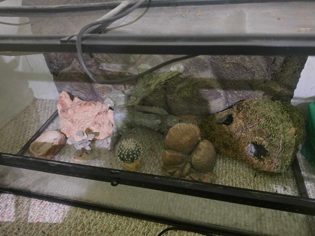 Exo Terra Terrarium - Large - photo 2