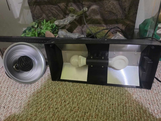 Exo Terra Terrarium - Large - photo 4
